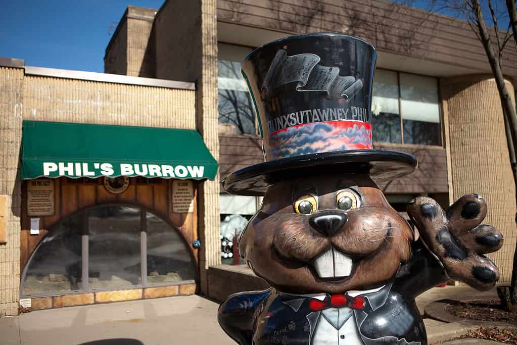 Statua di Punxsutawney Phil a Punxsutawney, Pennsylvania