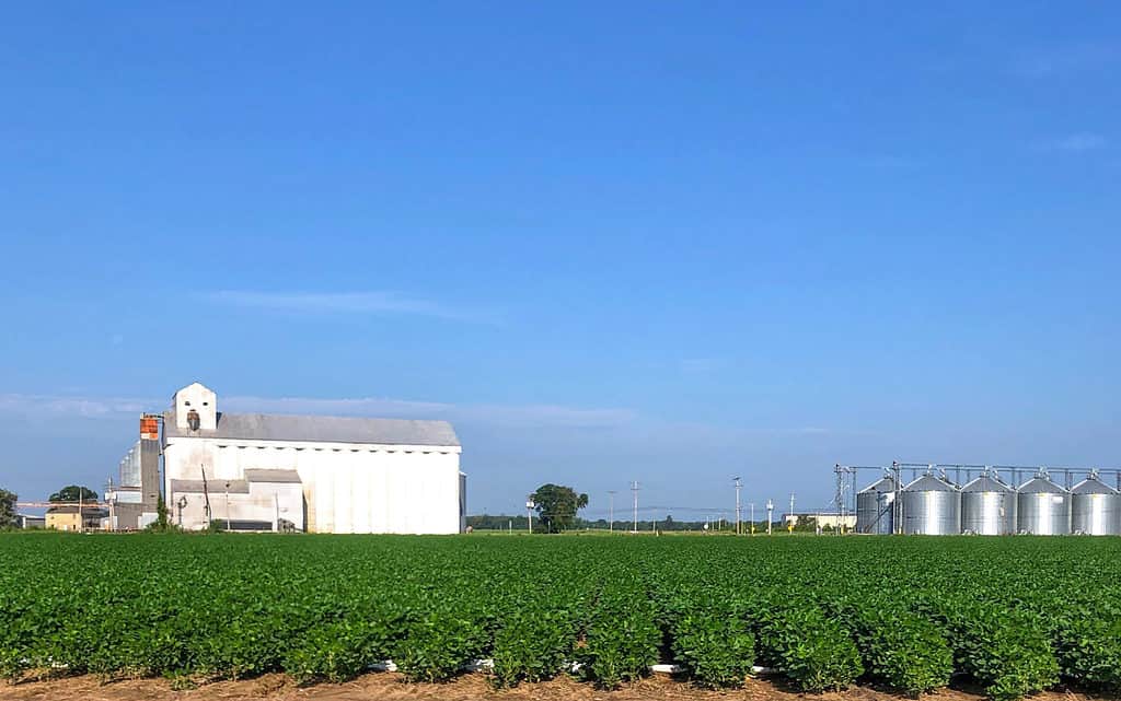Terreni agricoli in Arkansas