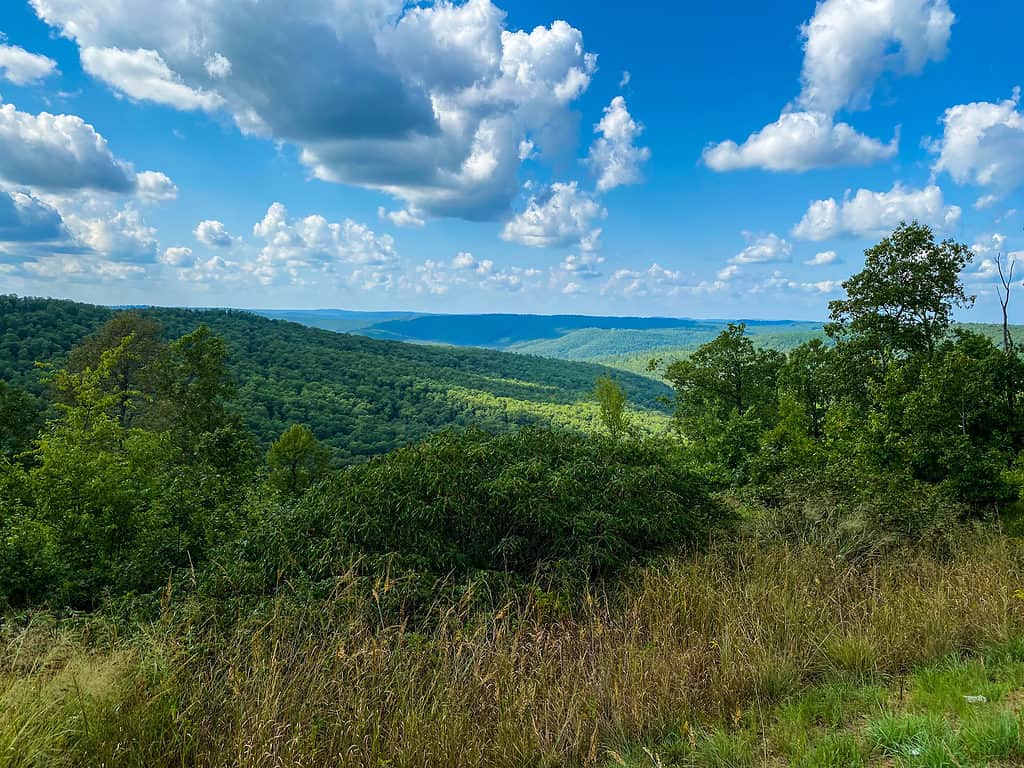 Ozark Highlands nel nord-ovest dell'Arkansas