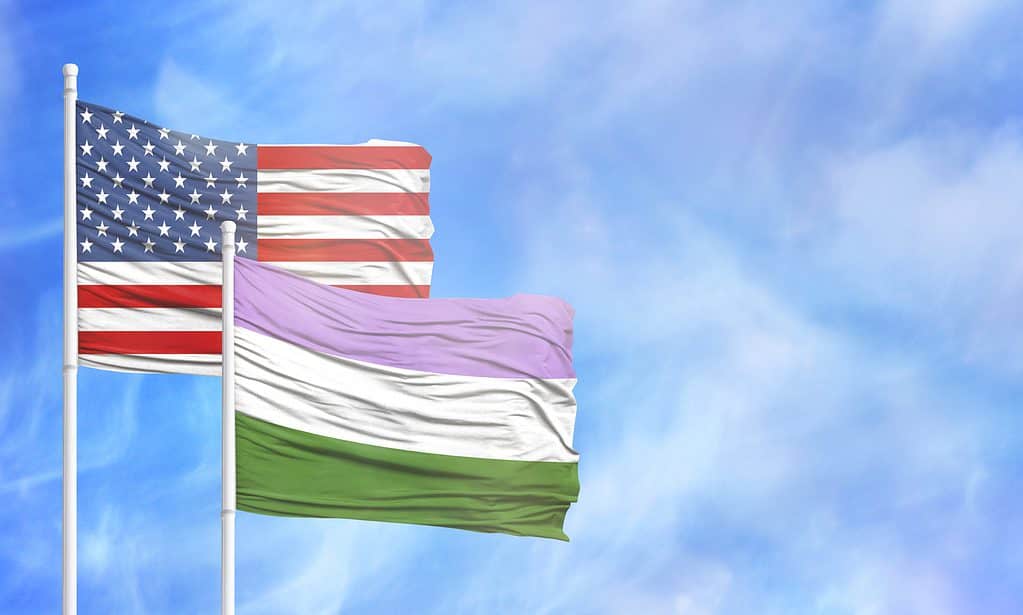 Bandiera genderqueer