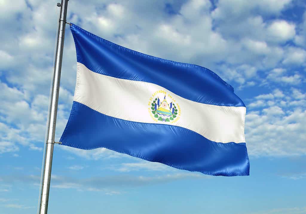 La bandiera di El Salvador è colorata proprio come l'uccello nazionale