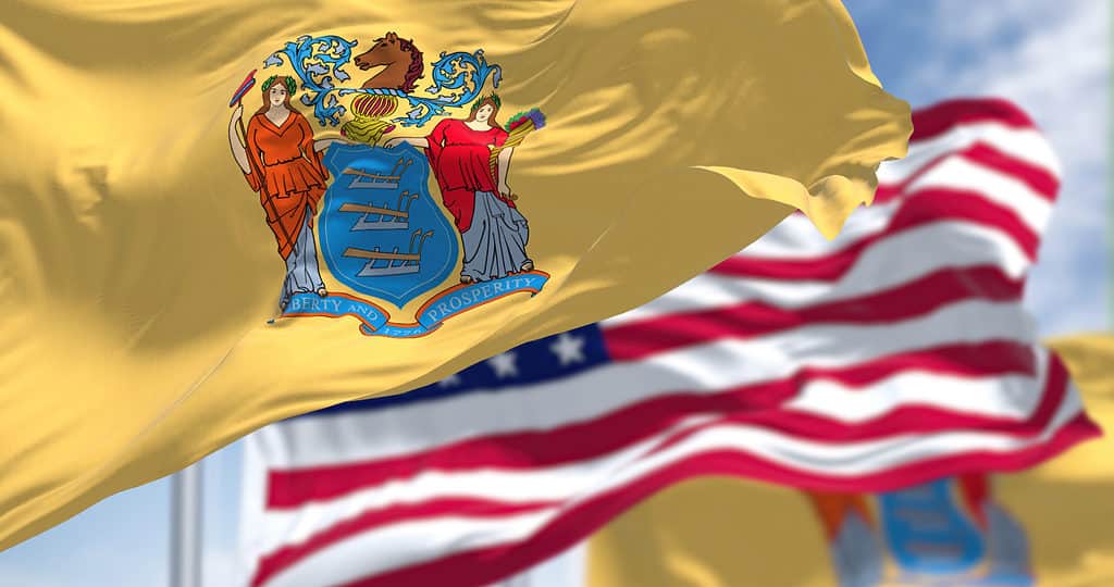 La bandiera dello stato del New Jersey sventola insieme alla bandiera nazionale degli Stati Uniti d'America