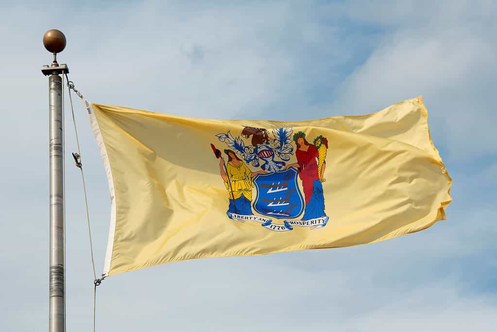 Bandiera del New Jersey che fluttua nel vento