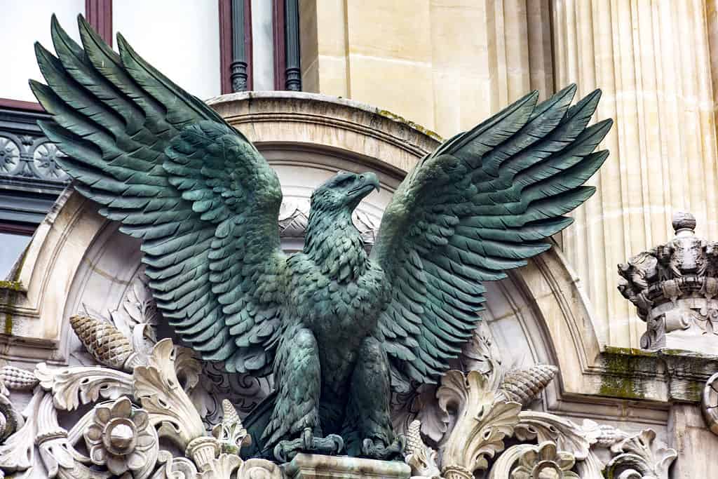 Aquila imperiale francese