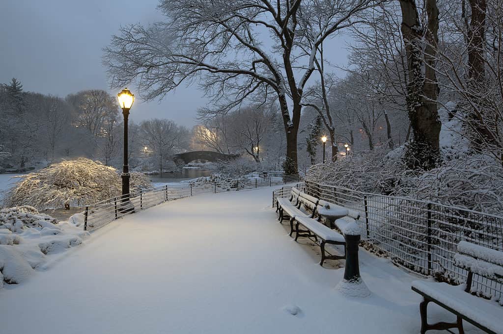 Central Park, New York City con la neve