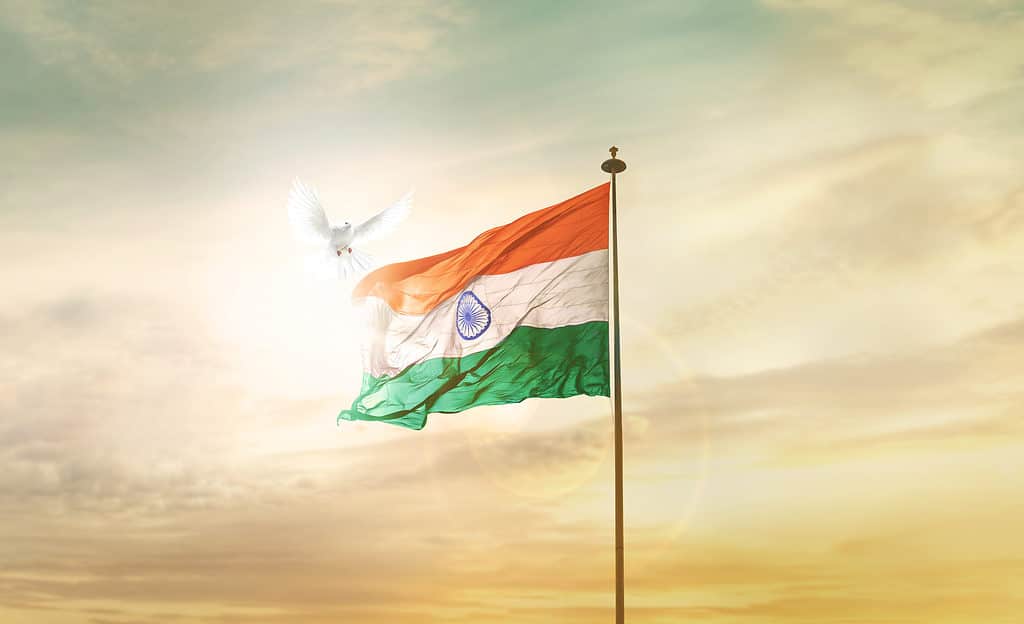 VOLO DELLA BANDIERA DELL'INDIA