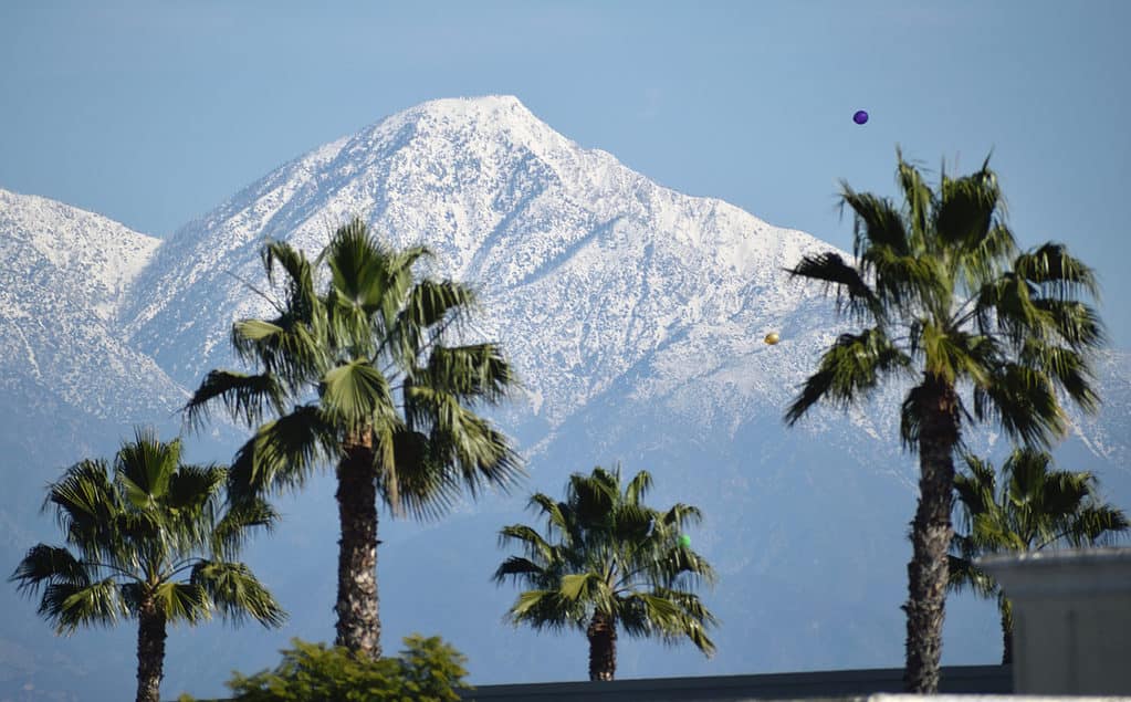 neve in California