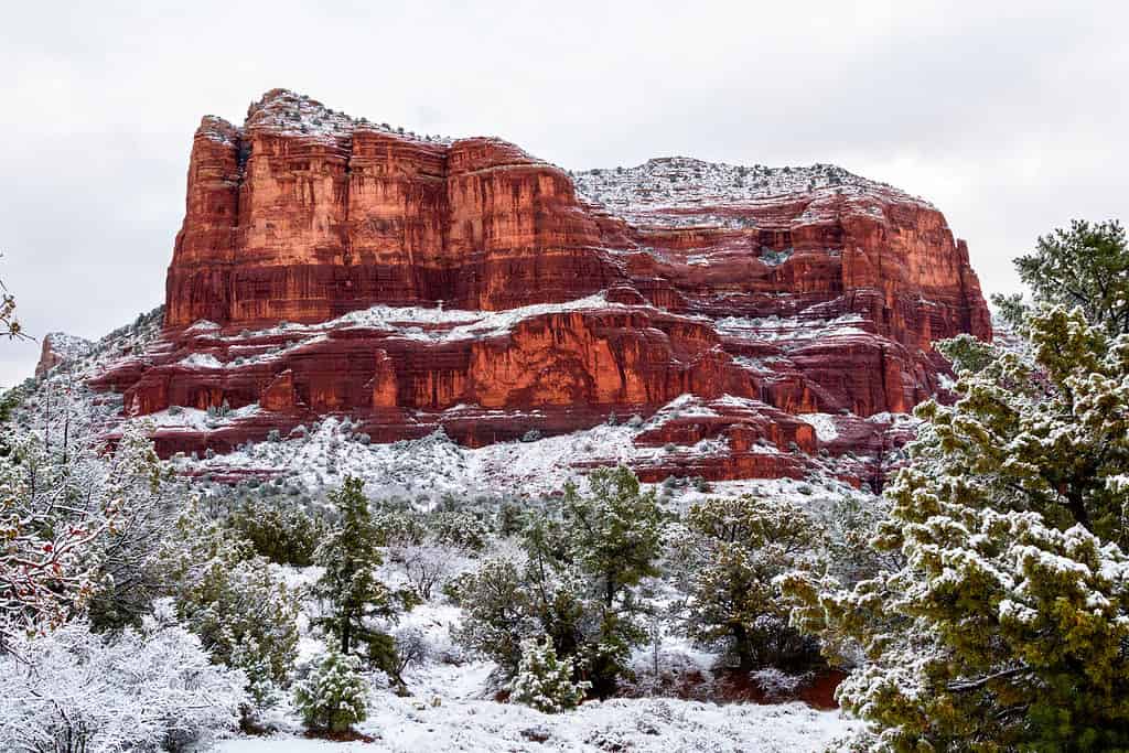 Neve dell'Arizona