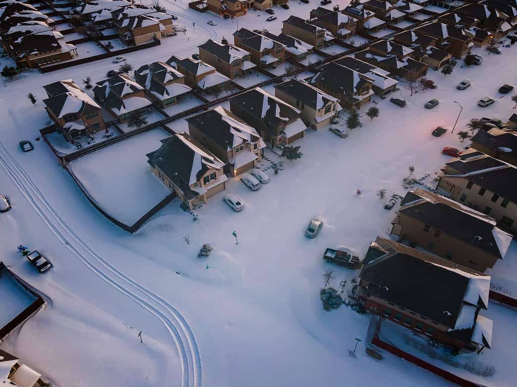 Neve in Texas