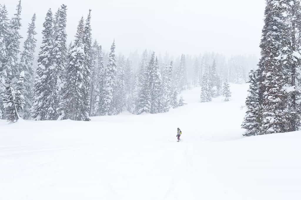 Tamarack Resort