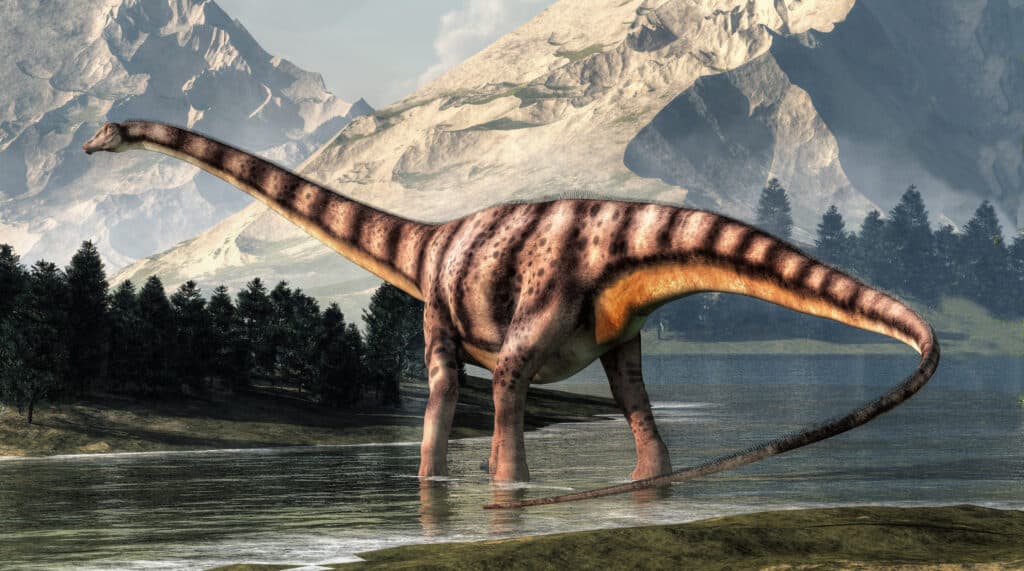 sauropode