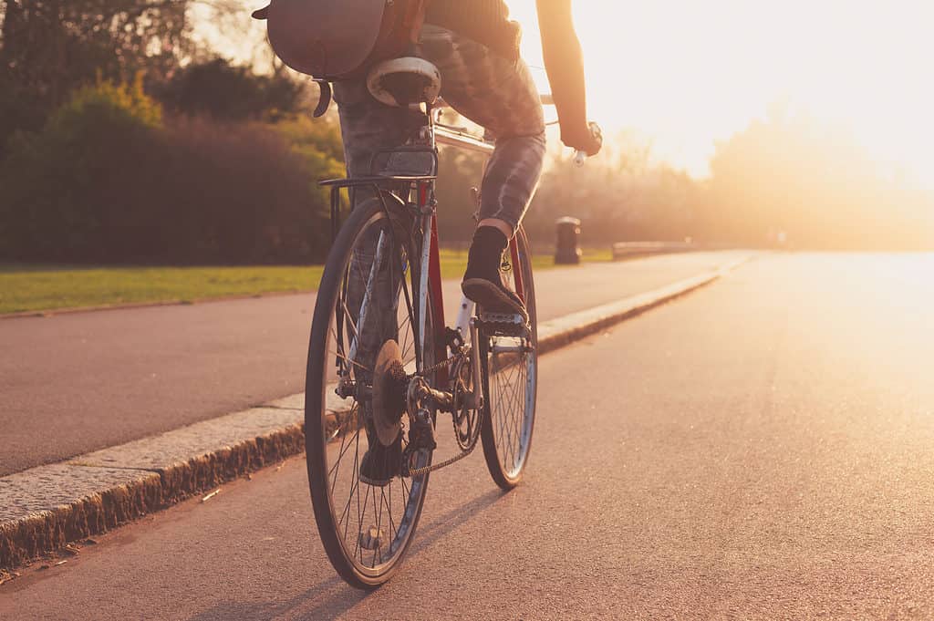 bicicletta