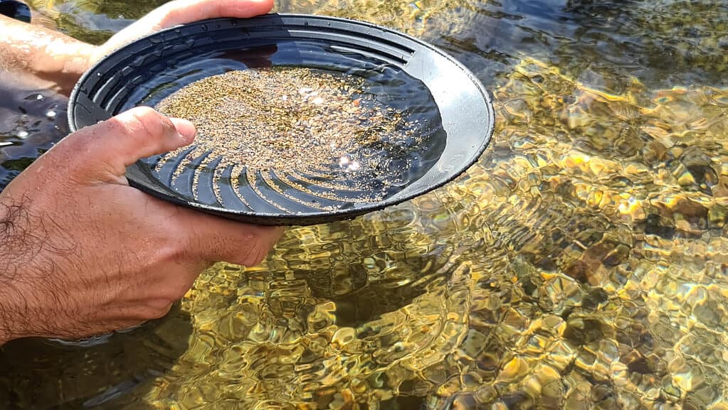 Alla ricerca dell'oro