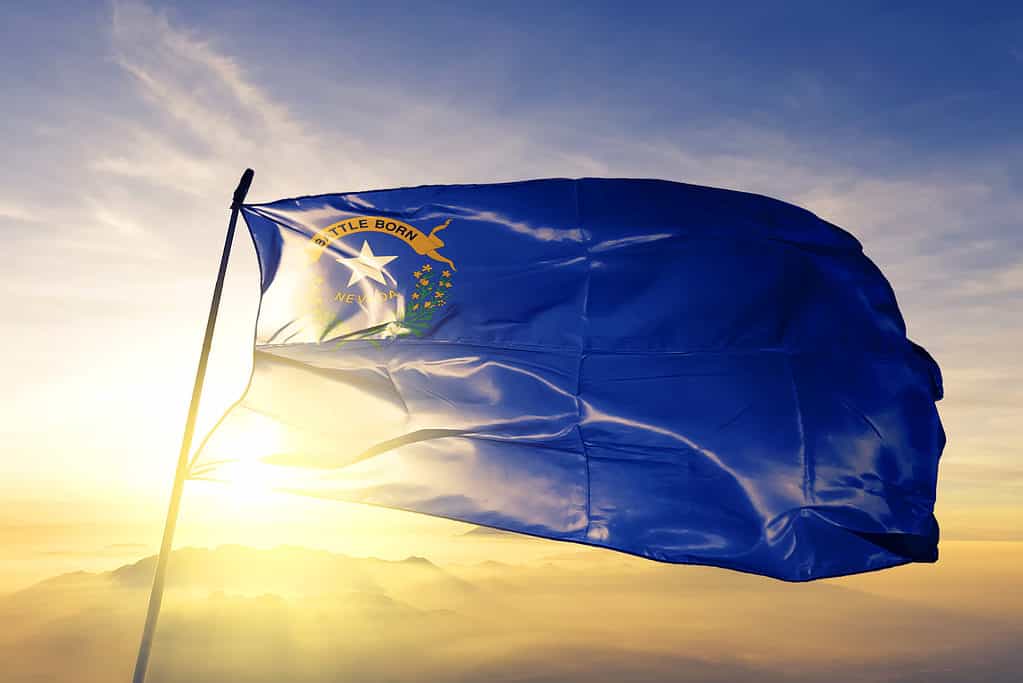 Bandiera del Nevada