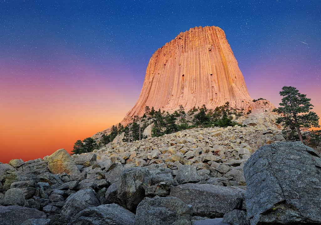 stagione delle allergie nel Wyoming