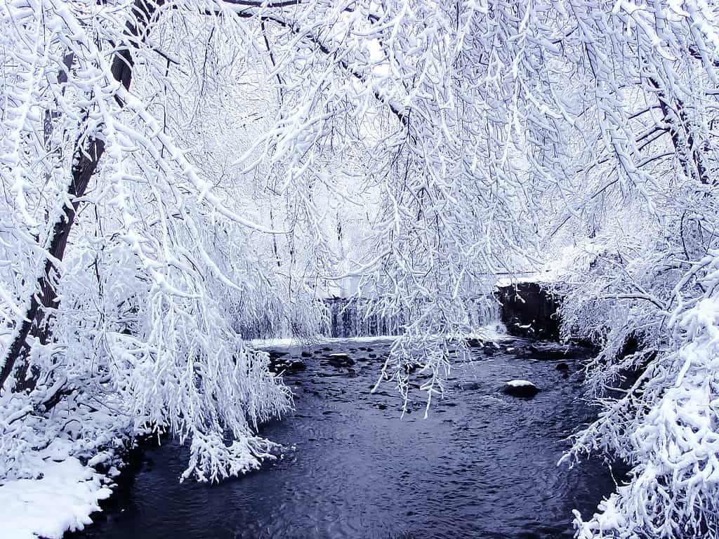 neve nel New Jersey