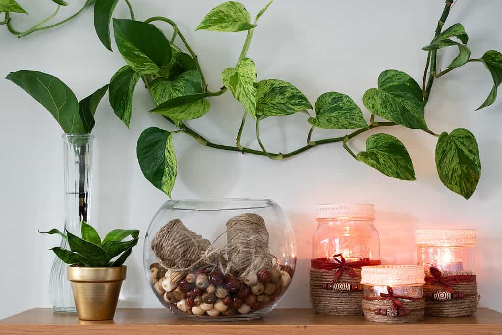 Una ciotola di vetro con spago di iuta e perline accanto a tre candele accese che brillano di una calda fiamma.  Una pianta si sta propagando accanto a una pianta in vaso, così come una pianta di Pothos sta rampicando attraverso il muro.