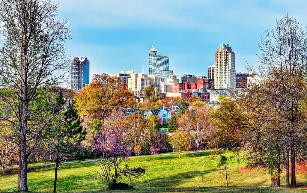 Raleigh, Carolina del Nord è incantevole in primavera.
