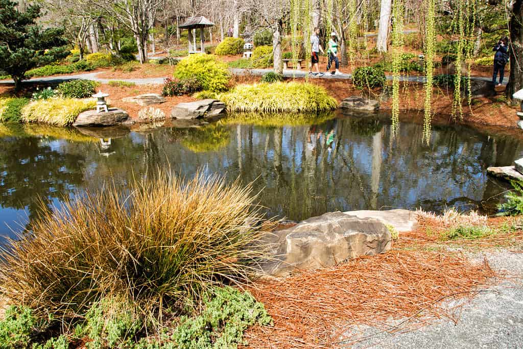 I turisti si stanno godendo i Gibbs Gardens a Ball Ground, Georgia.