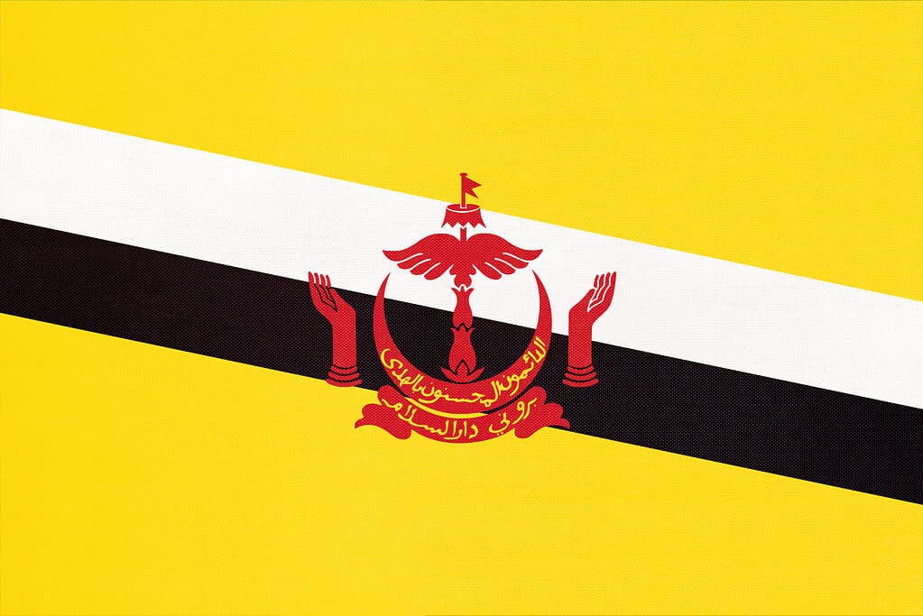 Bandiera del Brunei