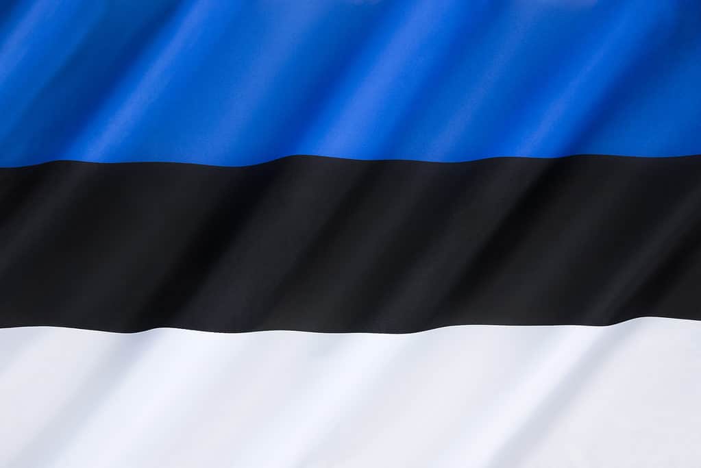 Bandiera dell'Estonia