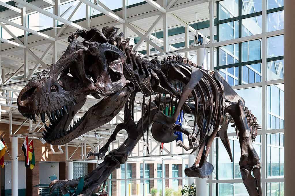 Istituto Superiore della Comunità del Wyoming Occidentale