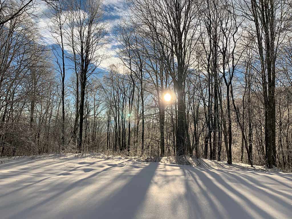 Blue Ridge Mountains in Asheville North Carolina sotto la neve