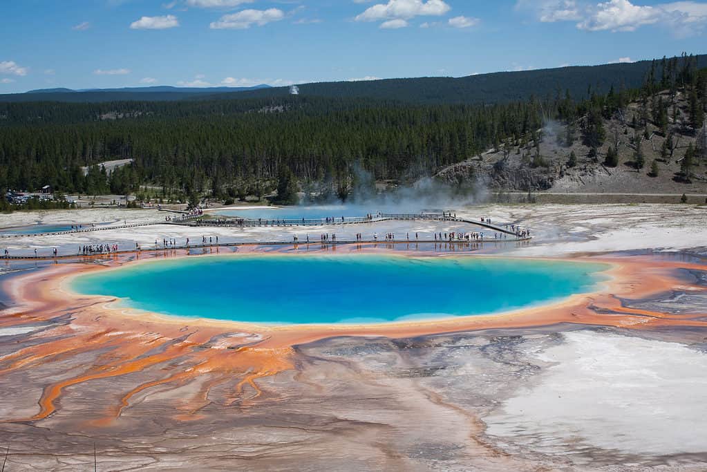 Gli archaea vivono in ambienti difficili ed estremi come le sorgenti termali