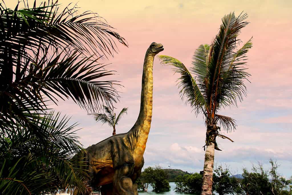 Sauropode