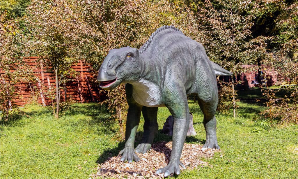 Modello di edmontosauro
