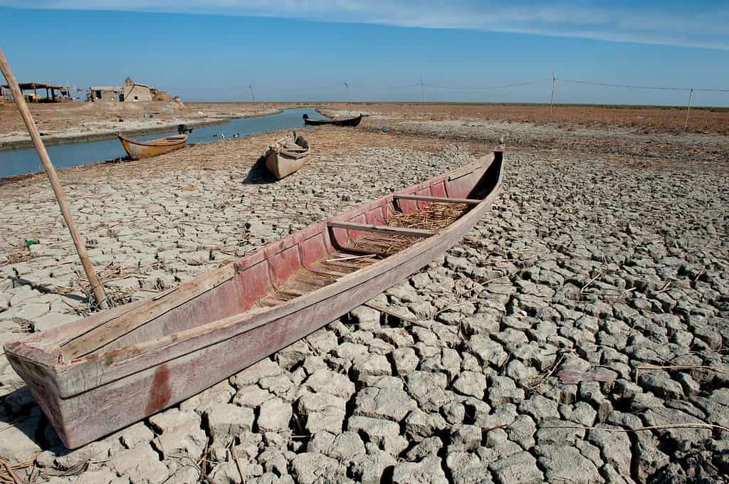 Siccità in Iraq