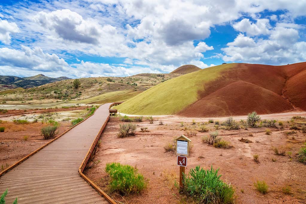 Monumento nazionale dei letti fossili di John Day