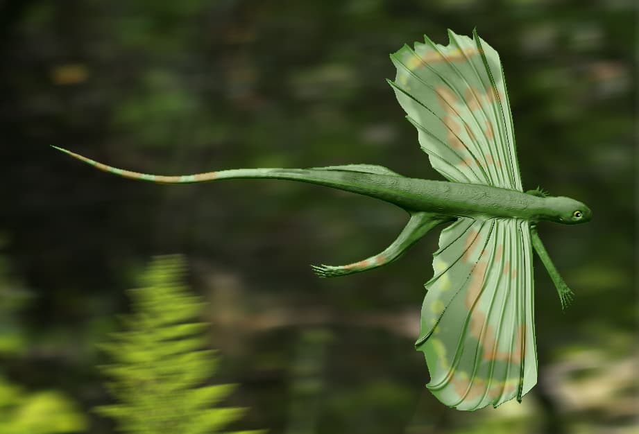 La prova che Icarosaurus viveva nel New Jersey è stata trovata nel 1960