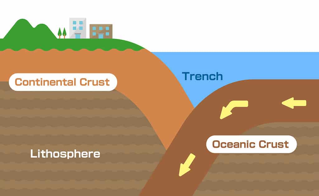 Una vista in sezione della crosta continentale e della crosta oceanica