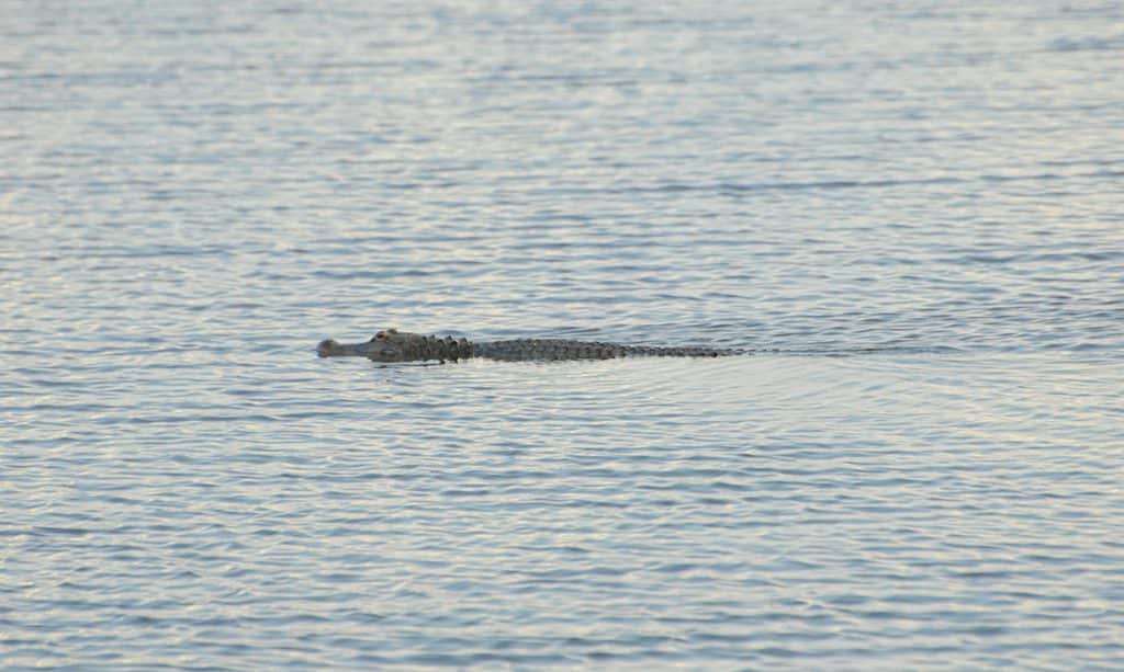Lago Eufaula
