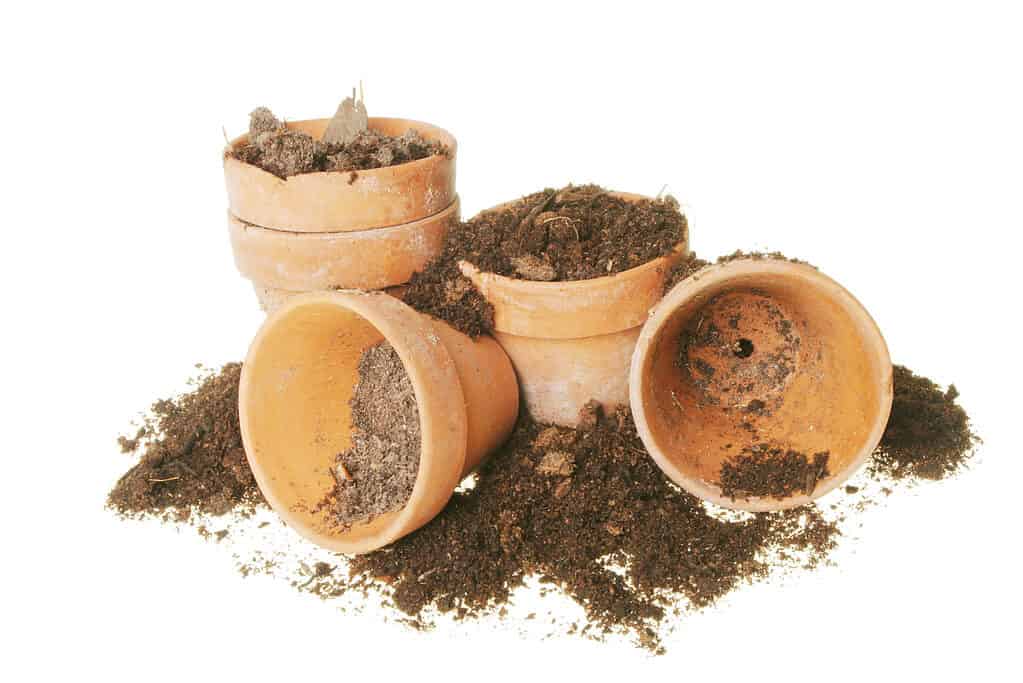 Vasi in terracotta e terreno per la semina.