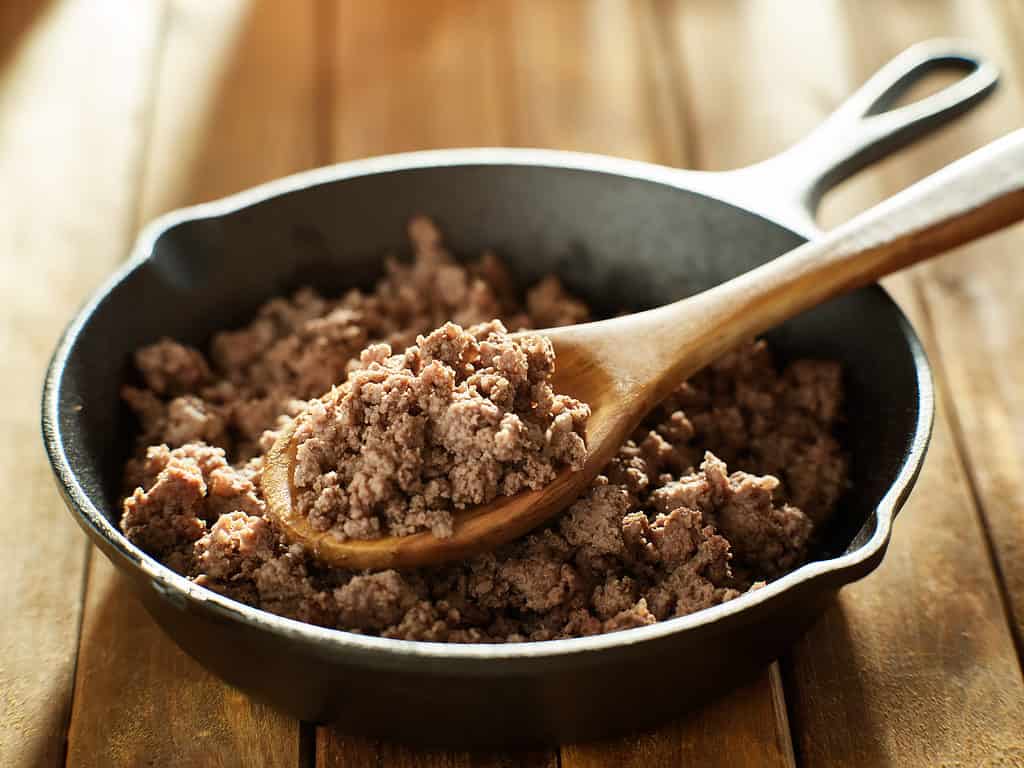 Carne macinata appena cotta - I cani possono mangiare carne macinata