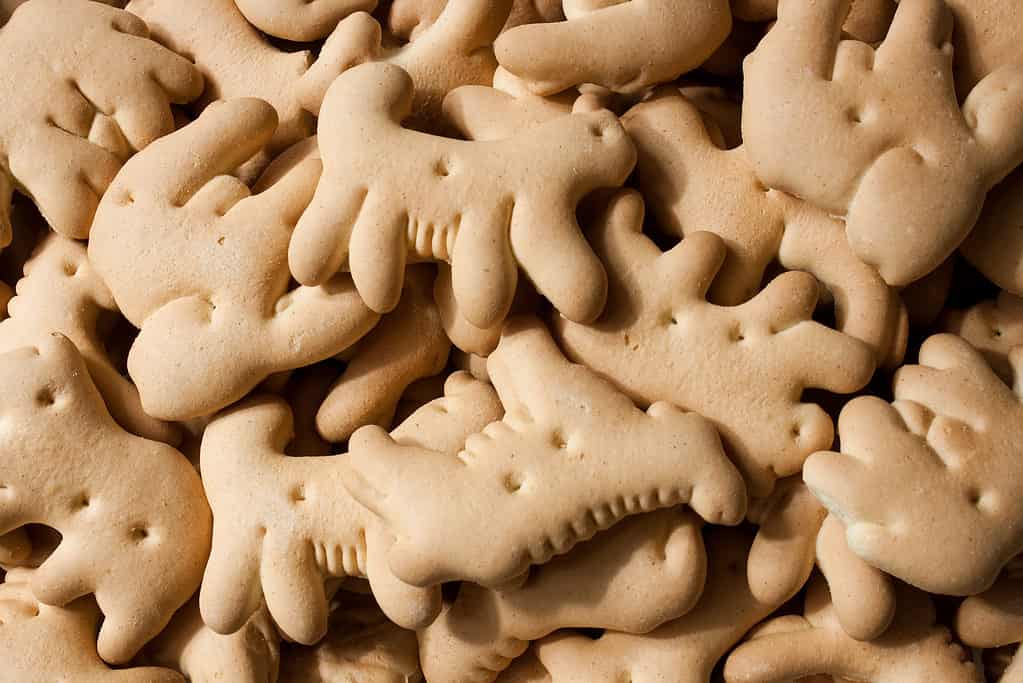 Mucchio Di Cracker Animale