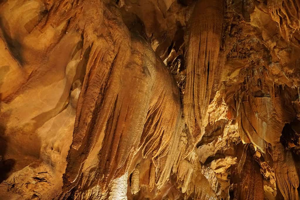 pozzo senza fondo della grotta dei mammut