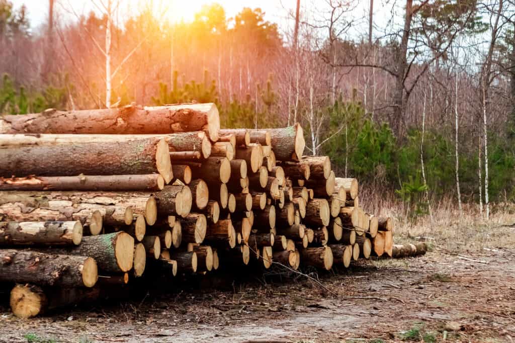 Legno utilizzato per mobili