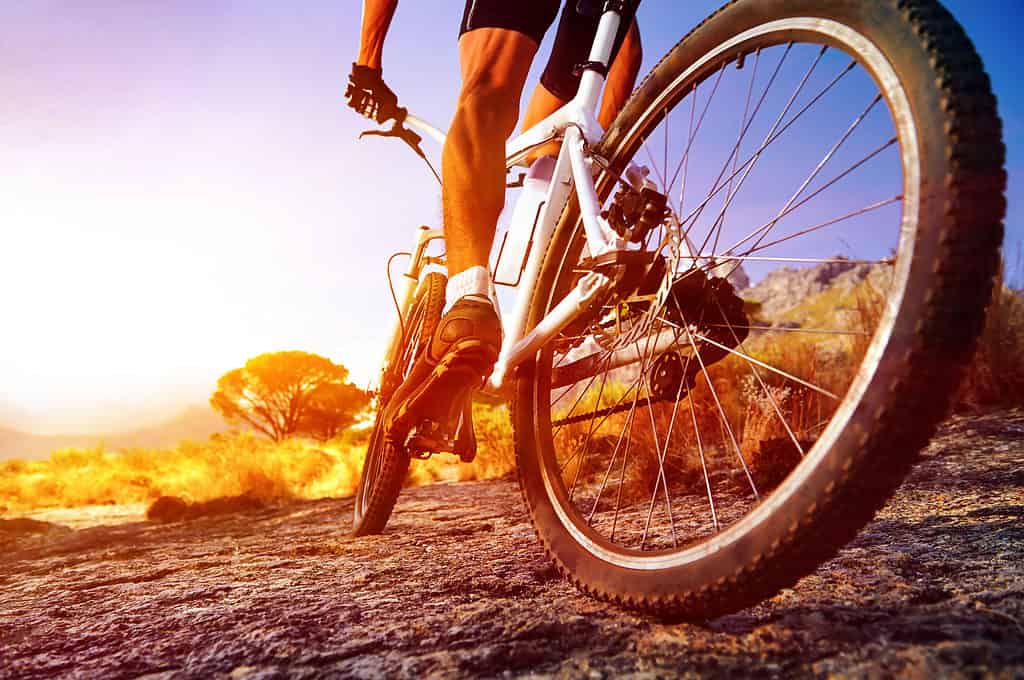 ciclista 