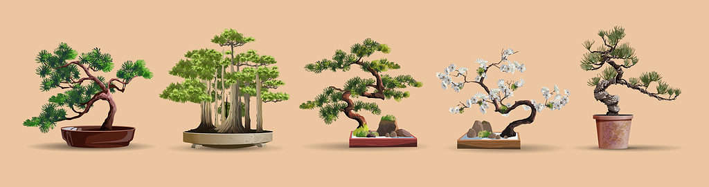 Storia e Origine dei Bonsai