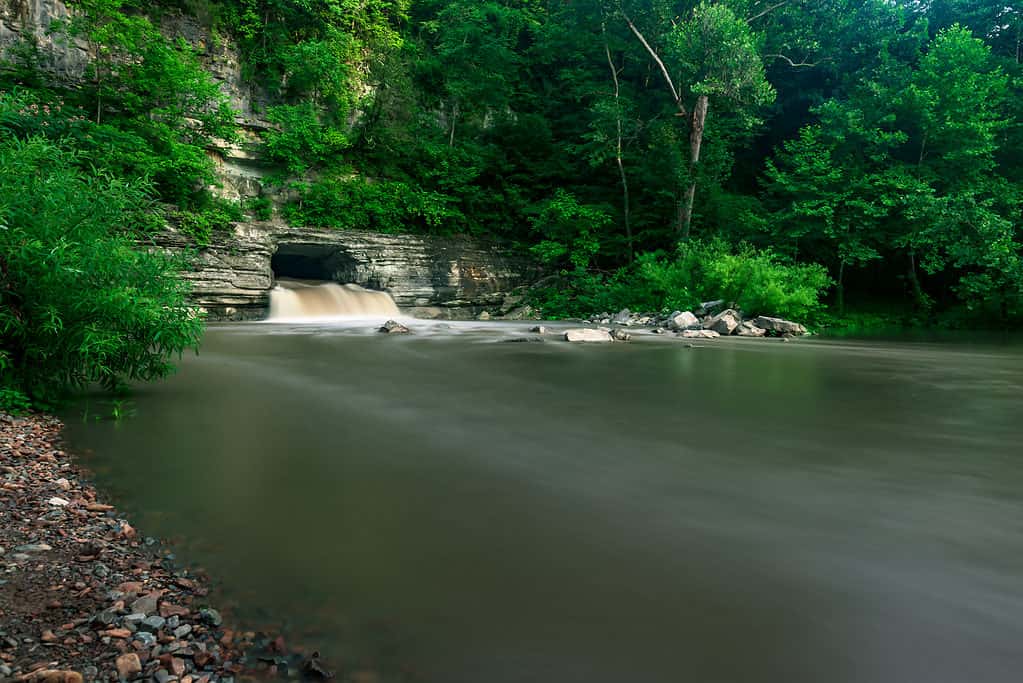 Stretti dell'Harpeth