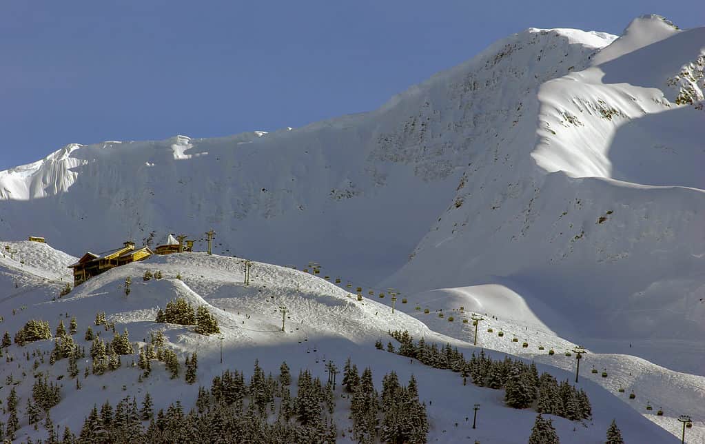 Avventurieri provenienti da tutto il mondo visitano l'Alaska