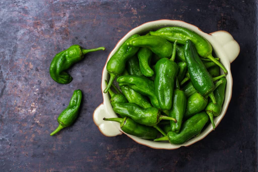 Ciotola di peperoni jalapeno verdi interi