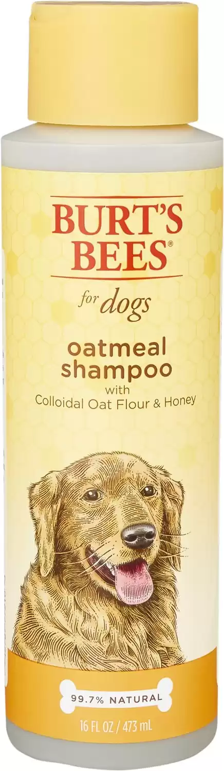 Burt's Bees Shampoo alla farina d'avena