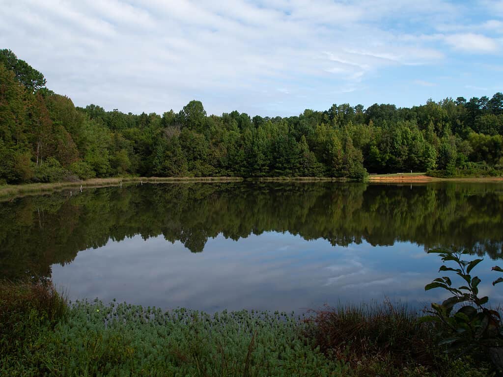 Occoneechee State Park