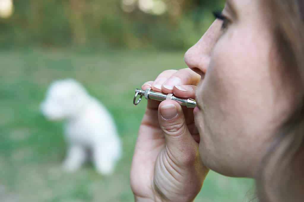 Addestratore di cani con fischietto per cani