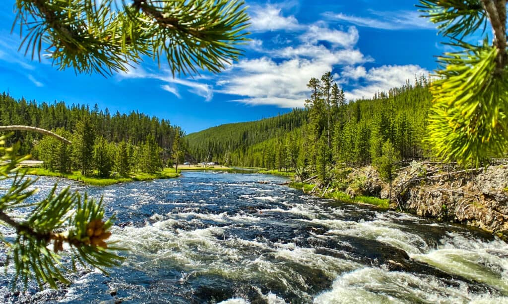 Parco nazionale di Yellowstone, fiume Yellowstone