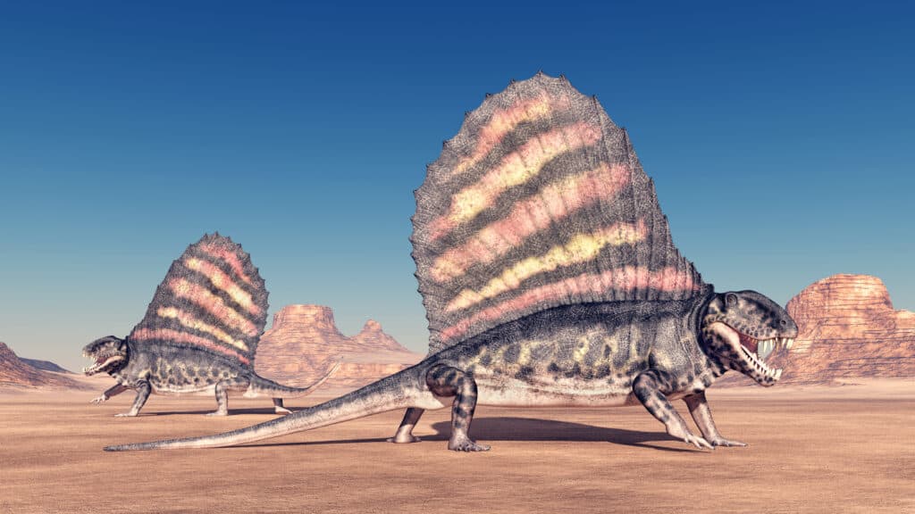 Illustrazione di Pelycosaur Dimetrodon